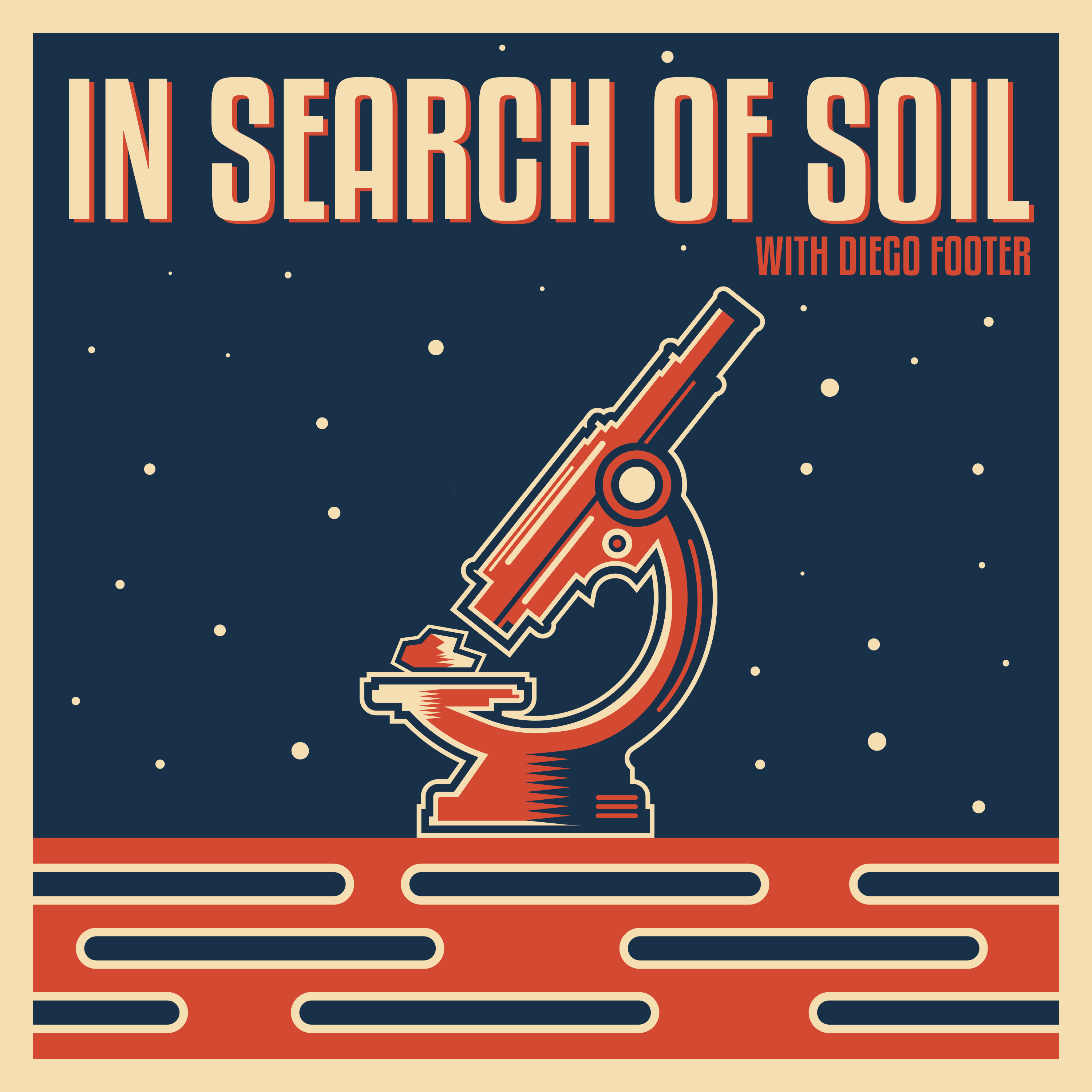 In Search of Soil - What Do Soil Tests Actually Tell Us