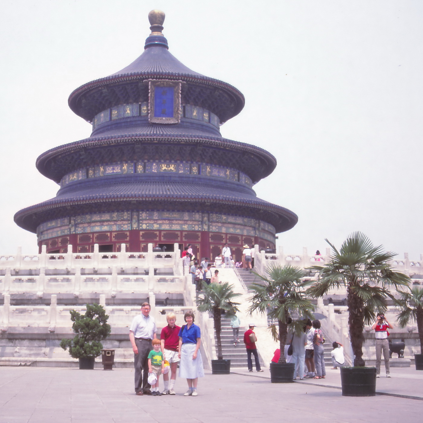 China8687